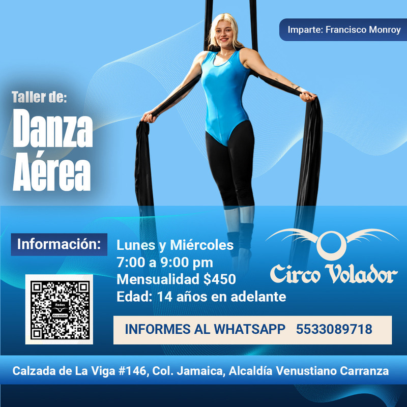Danza Aérea