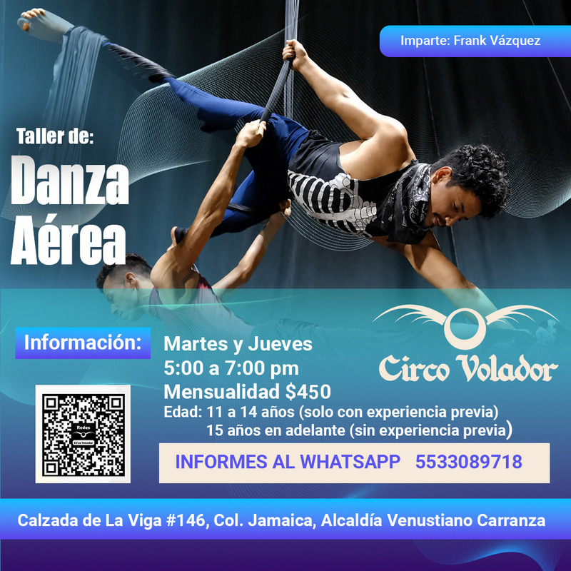 Danza Aérea