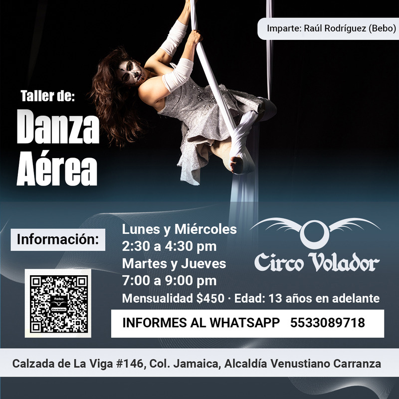 Danza Aérea